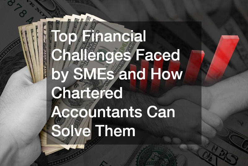 Top Financial Challenges Faced by SMEs and How Chartered Accountants Can Solve Them